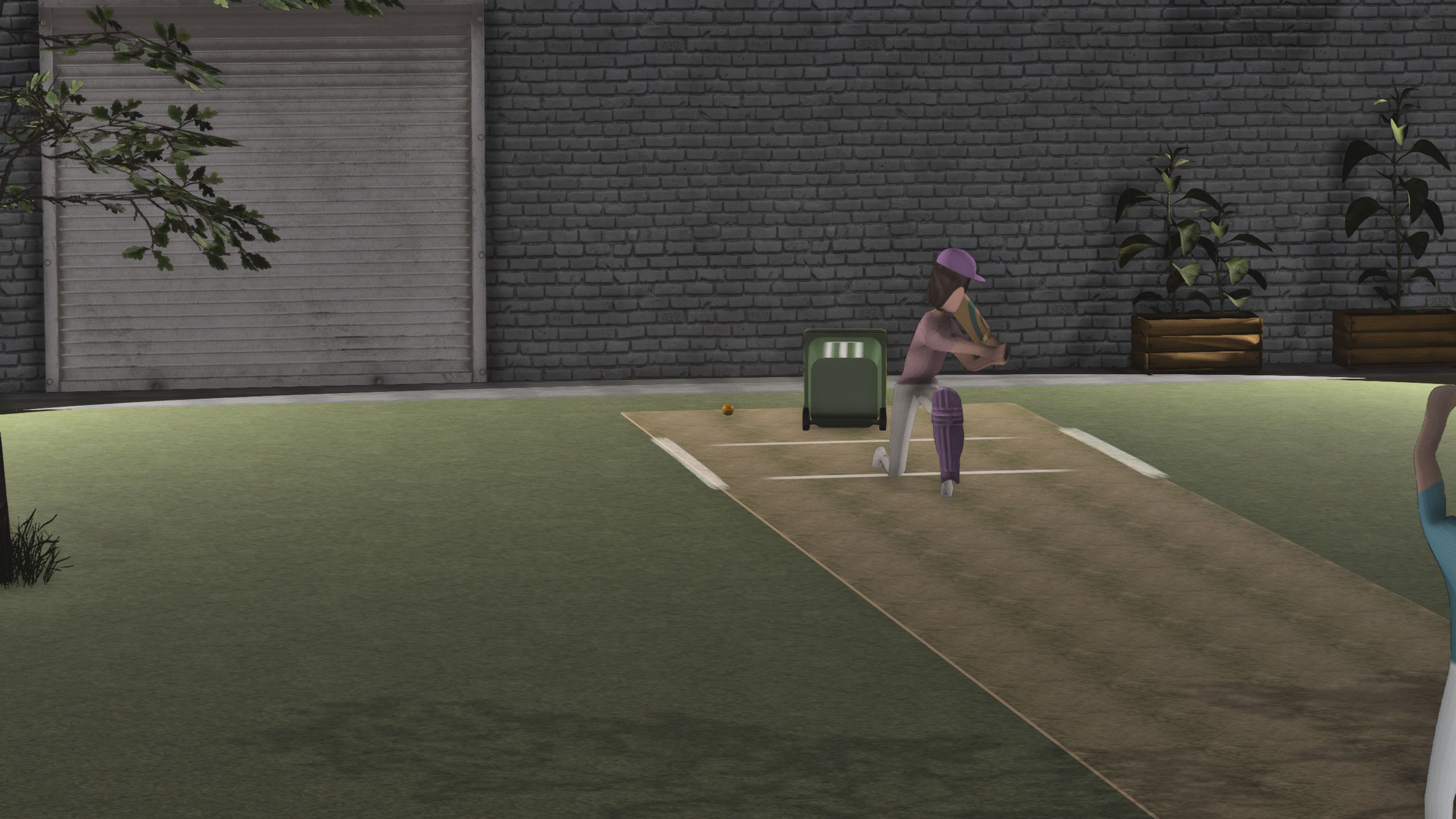 Backyard Cricket — Straight through him